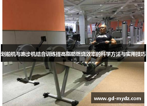 划船机与跑步机结合训练提高脂肪燃烧效率的科学方法与实用技巧