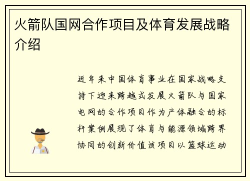 火箭队国网合作项目及体育发展战略介绍